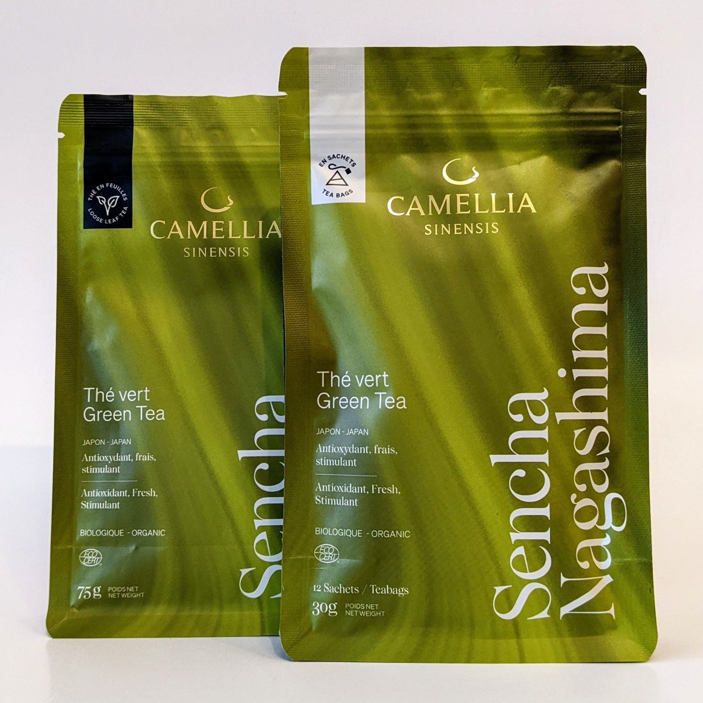 Sencha Nagashima Camellia Sinensis