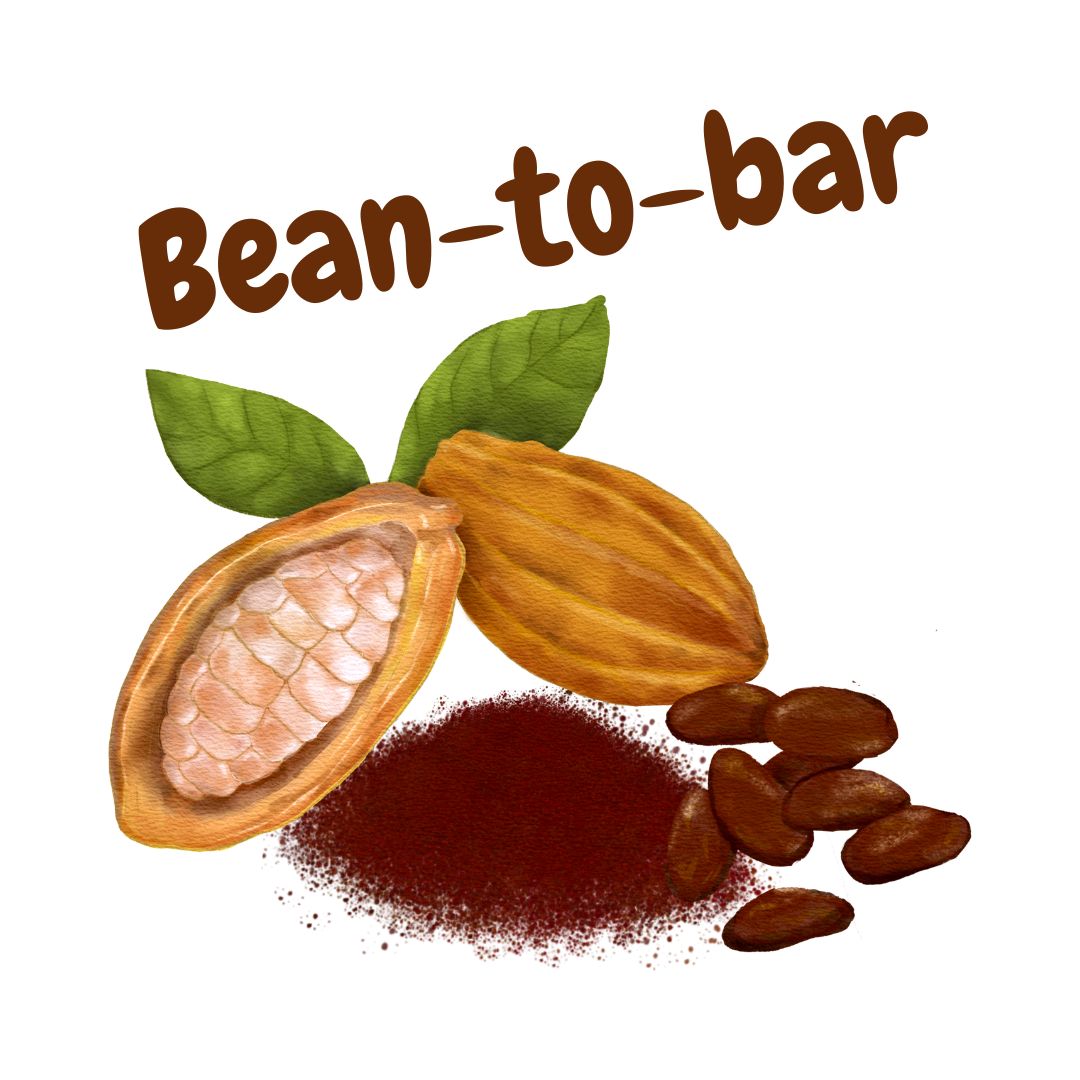 Chocolat "Bean-to-bar"