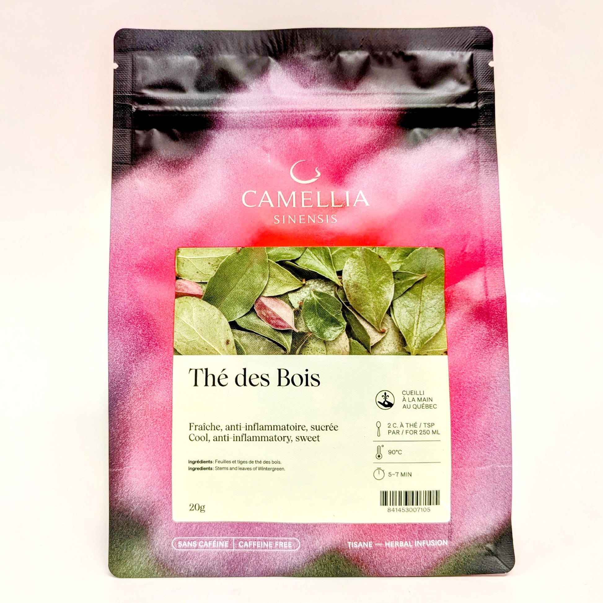 Thé des bois - Camellia Sinensis