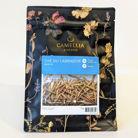 Thé du Labrador Camellia Sinensis